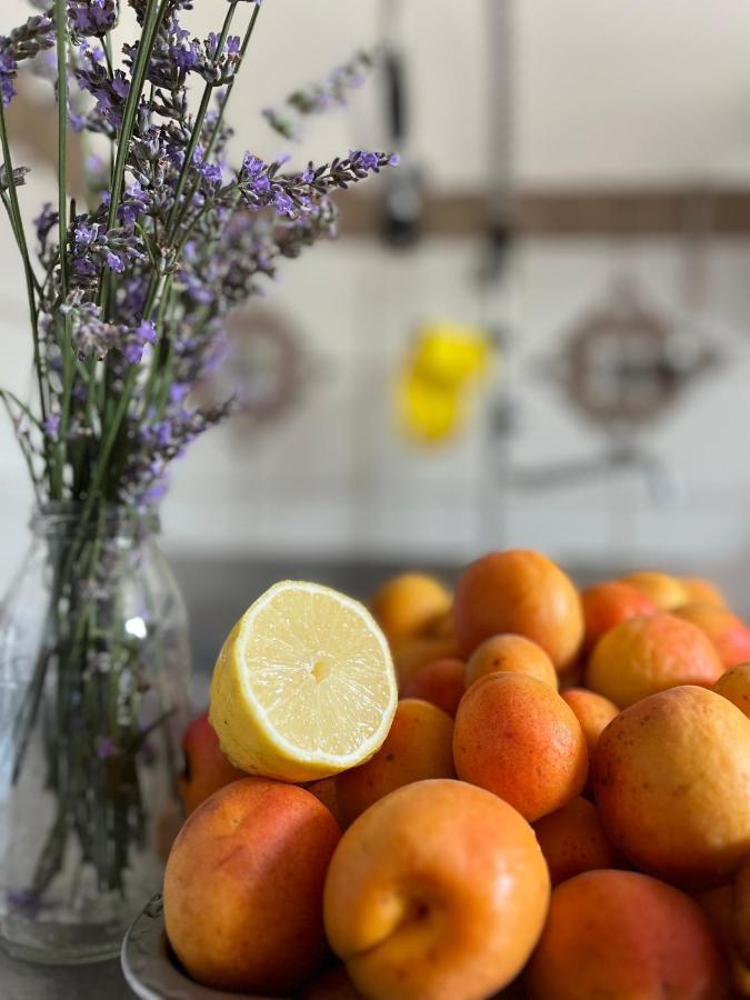 Podere Orzale Agri Hospitality Usigliano Zewnętrze zdjęcie